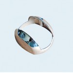 cruise lamp cover1140603A