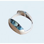 cruise lamp cover1141173C